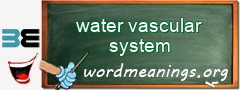 WordMeaning blackboard for water vascular system